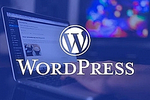 本站为什么用WordPress